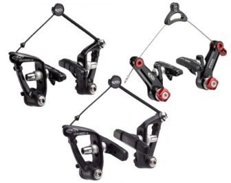 Avid Shorty family