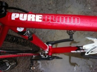 Pure Blood top tube graphics