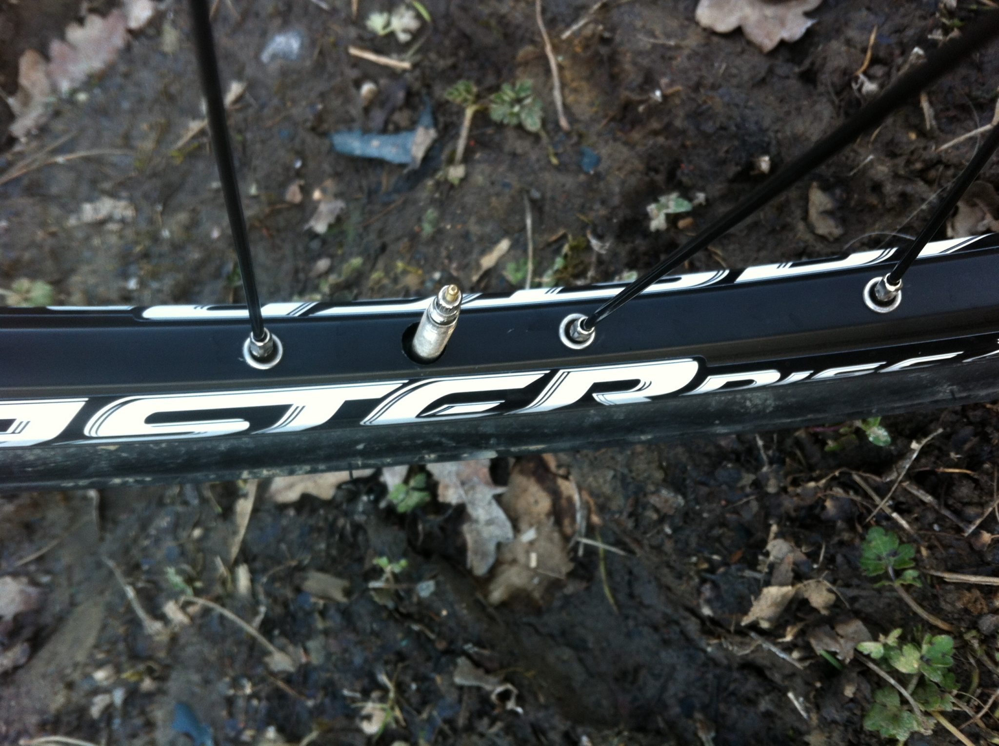 Remerx Master Disc CX Rim