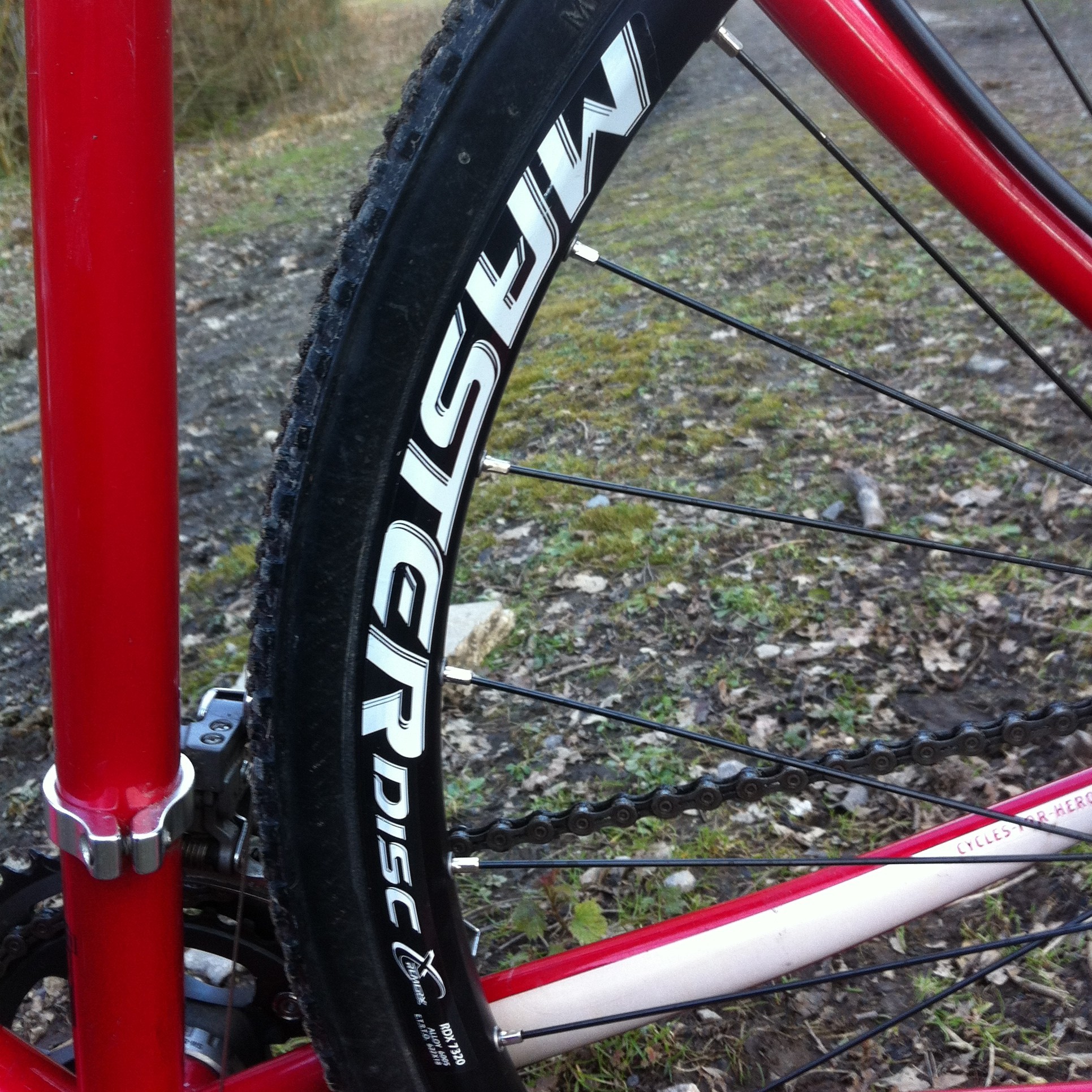 Remerx Master Disc in frame