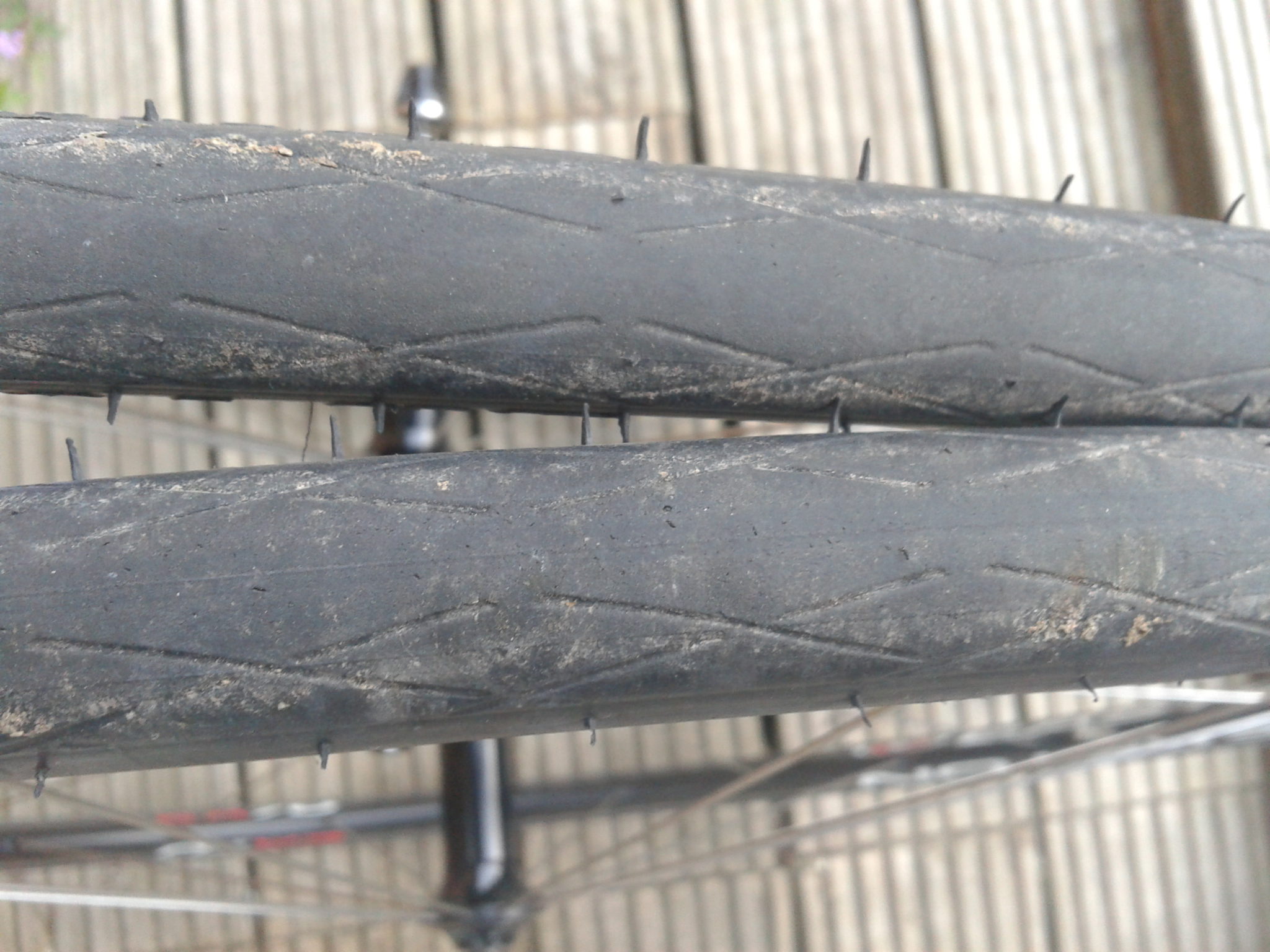 Durano Plus still looking good after a winter of riding