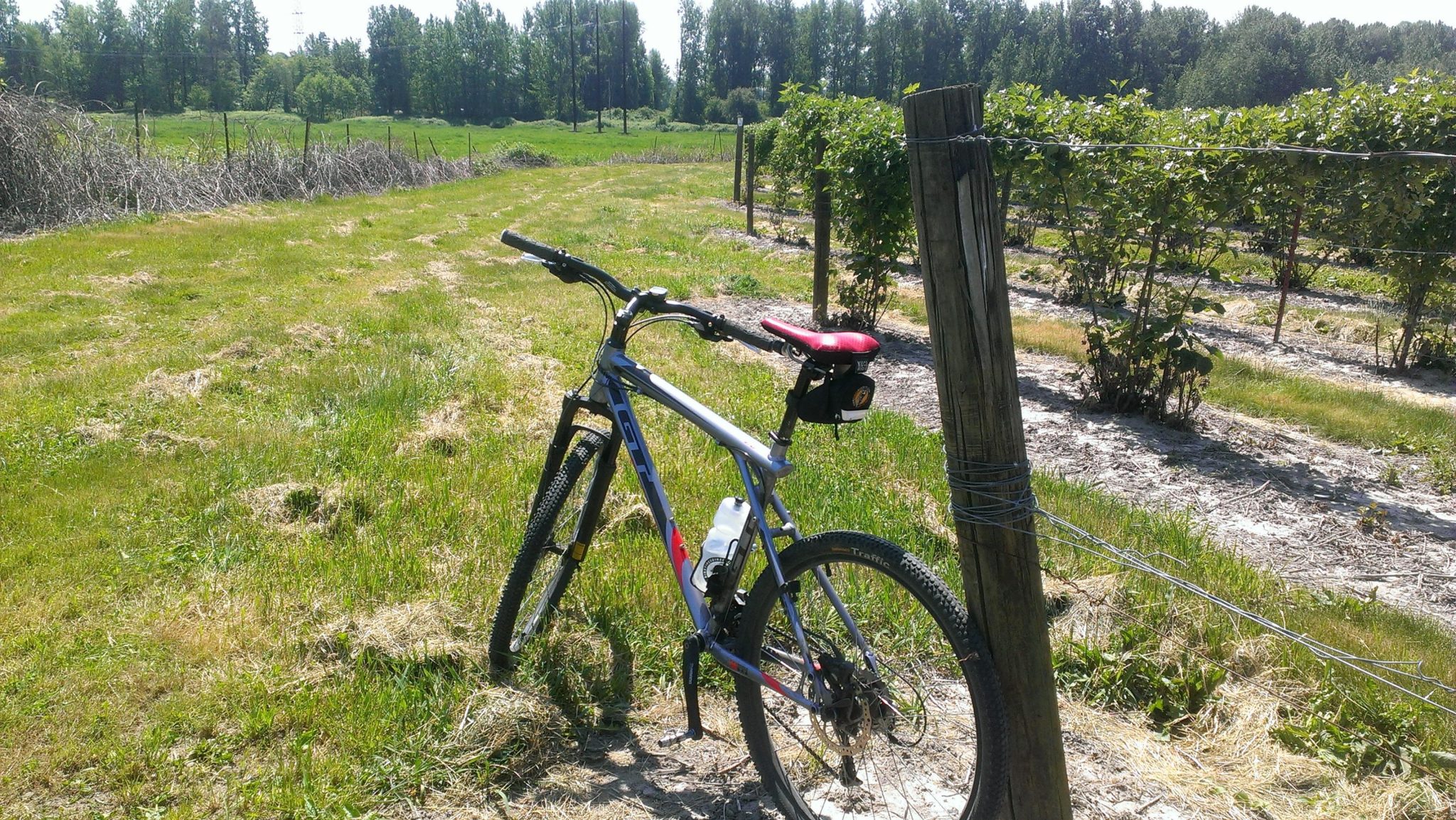 Kuhl Ride Racer Saddle out on the trail