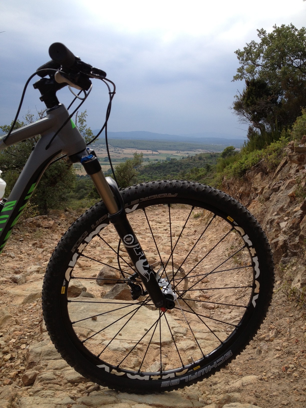 Canyon Nerve AL 9.9