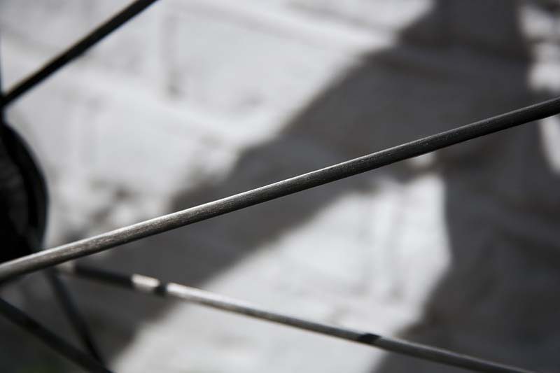 Lightweight Meilenstein Wheels spoke