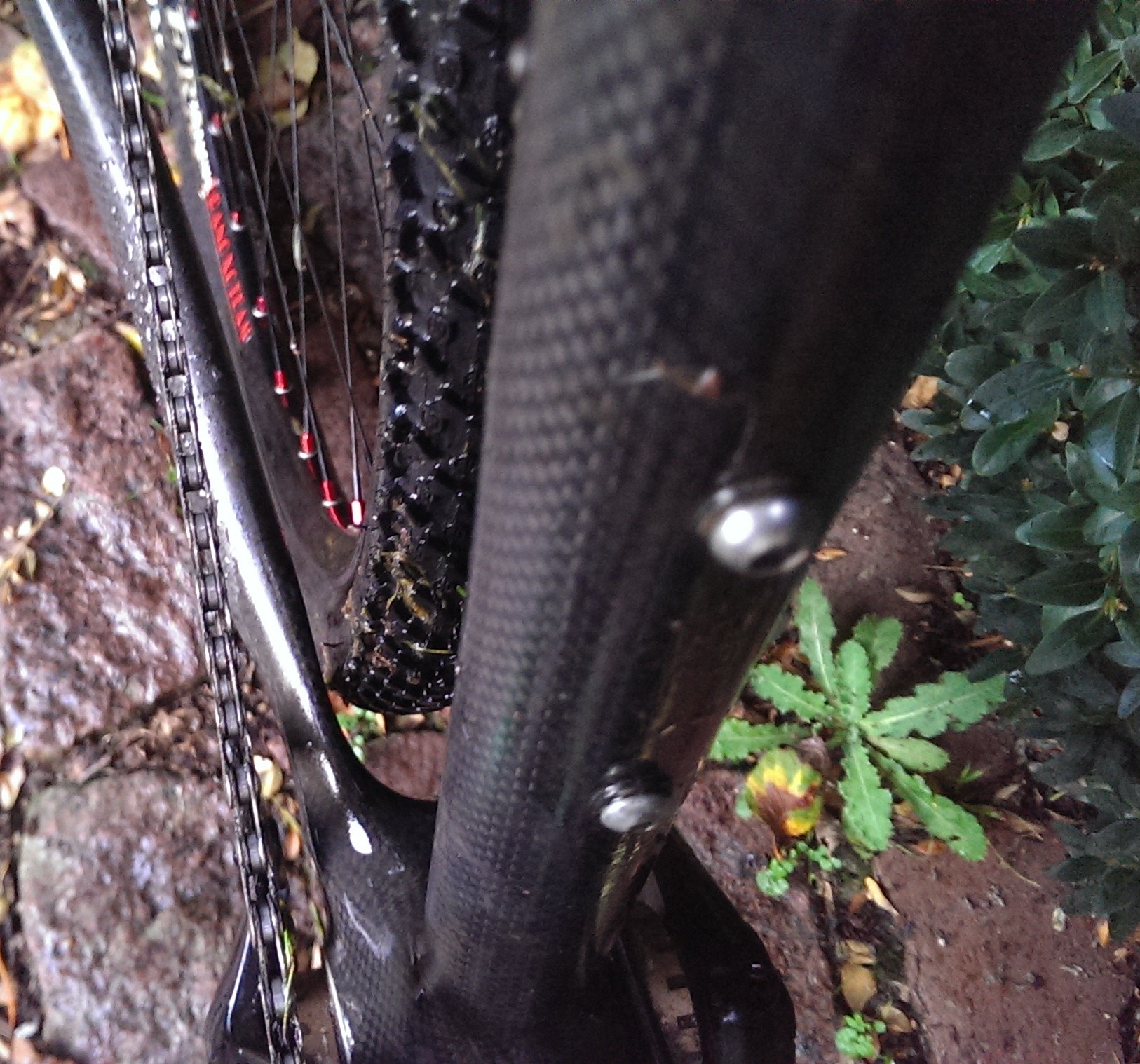 Ritchey Shield Cyclocross Tyre