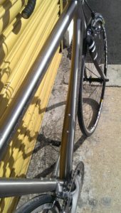 Sabbath Mondays Child has truly beautiful lines from a rider's point of view