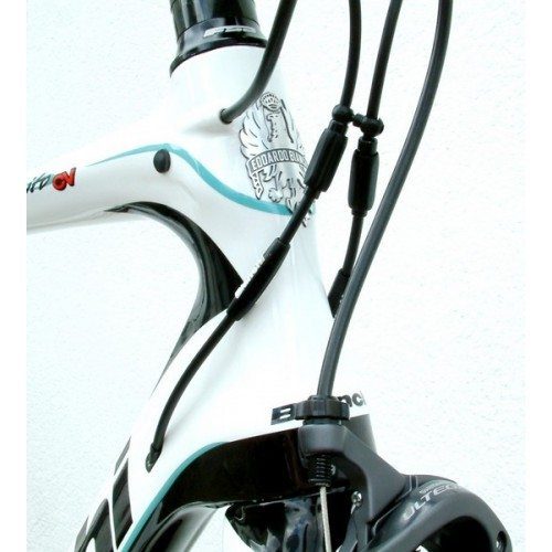 Bianchi Infinito CV head tube