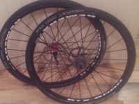 Remerx RTX AL Disc