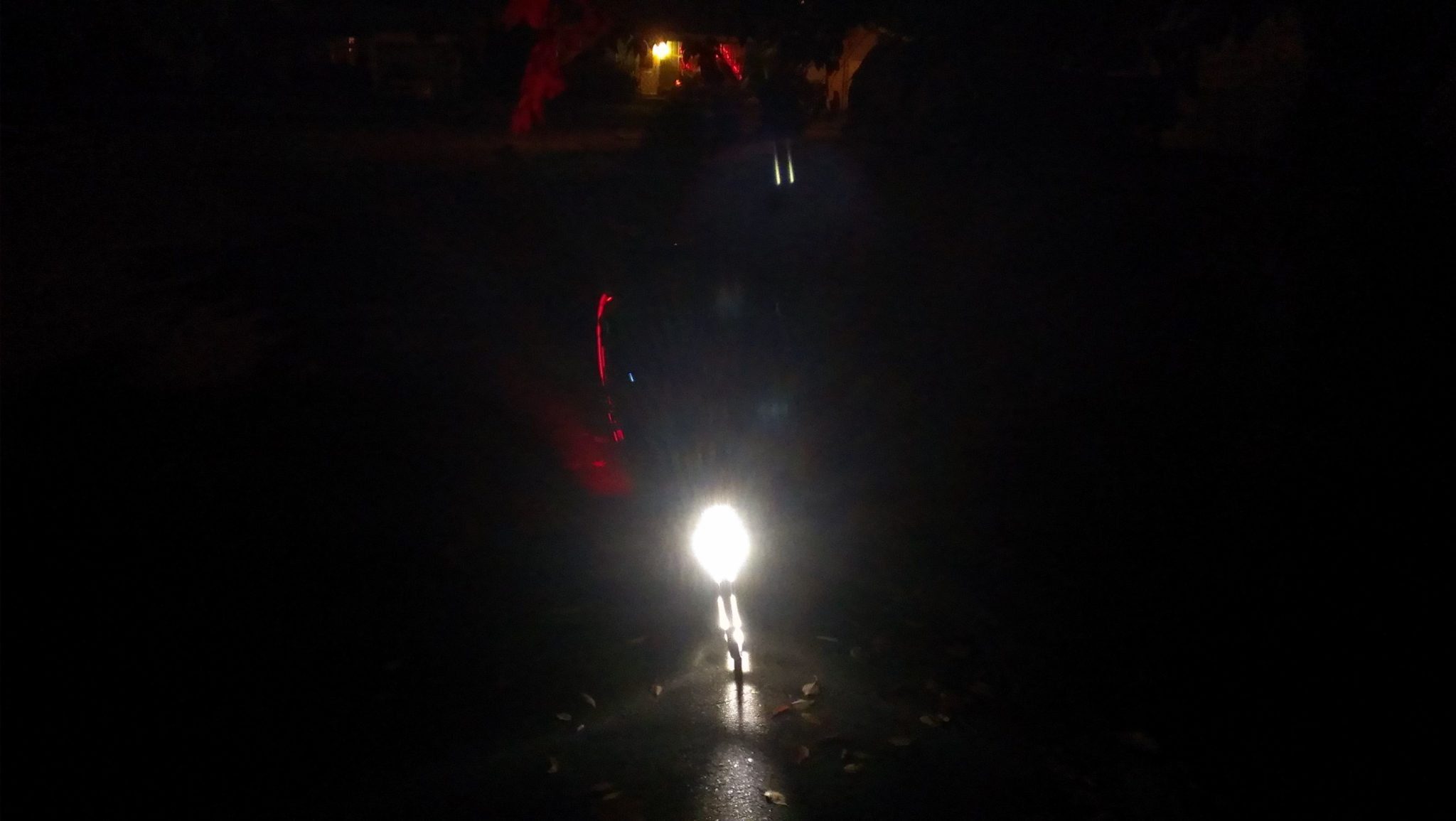 From the front, the light is low but bright