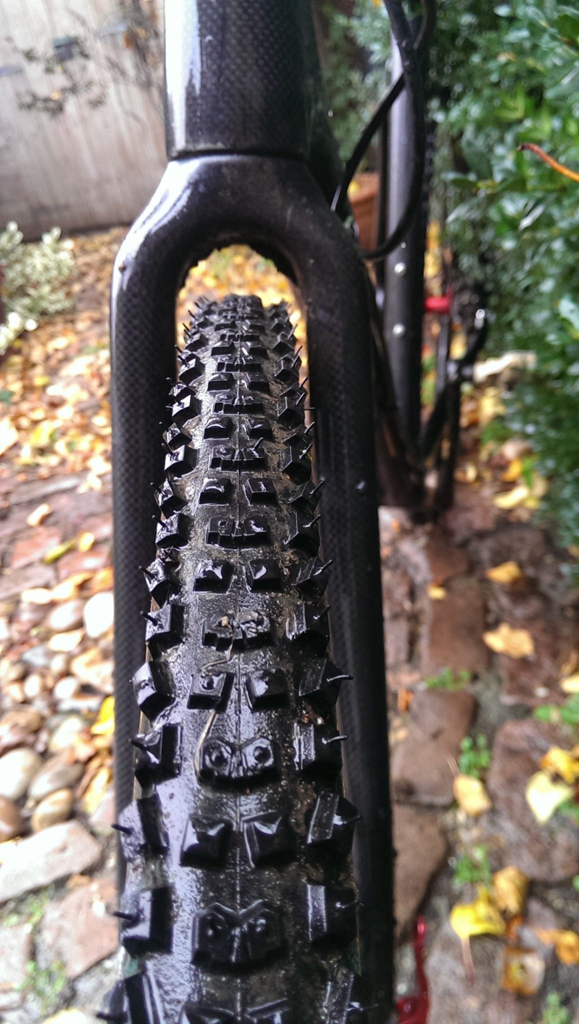 Continental Mountain King Cyclocross