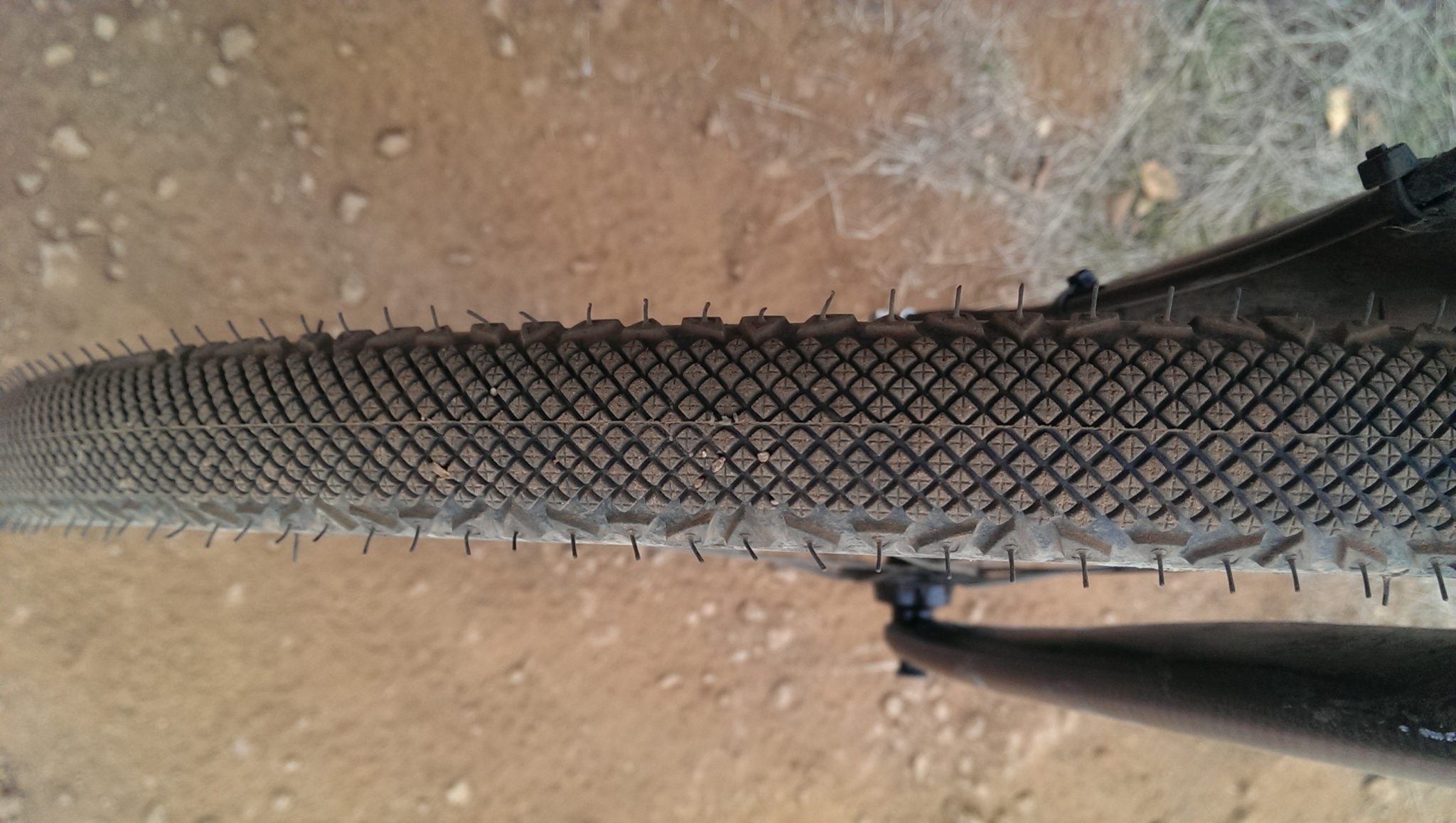 Continental Cyclocross Speed