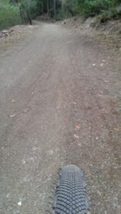 Continental Cyclocross Speed