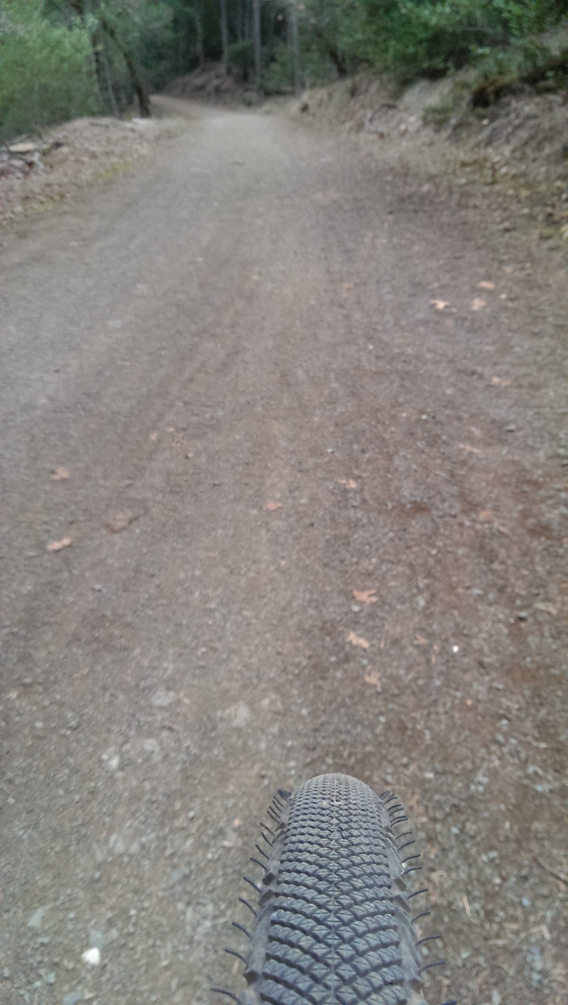 Continental Cyclocross Speed