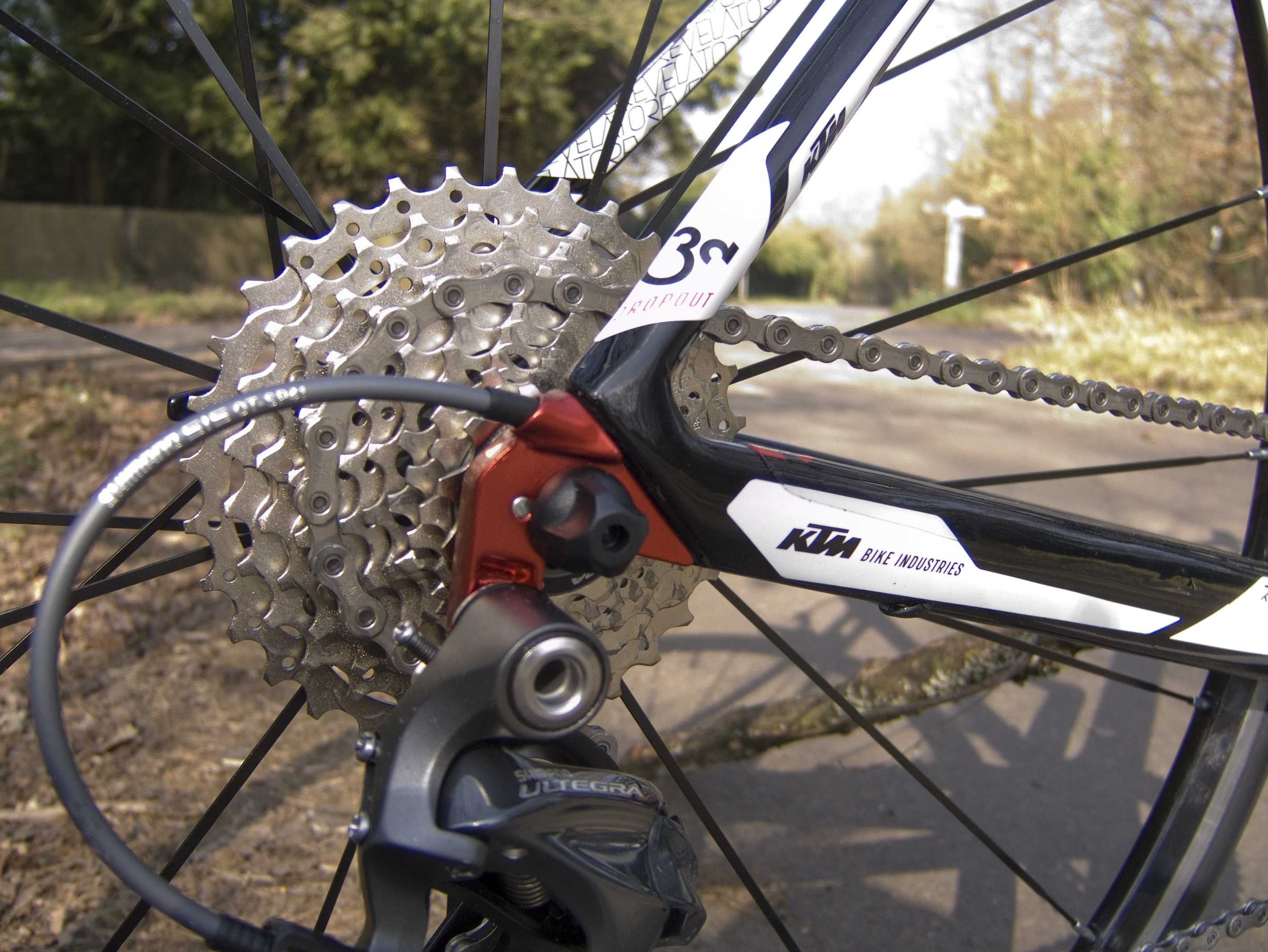 KTM Revelator's anodized dropouts