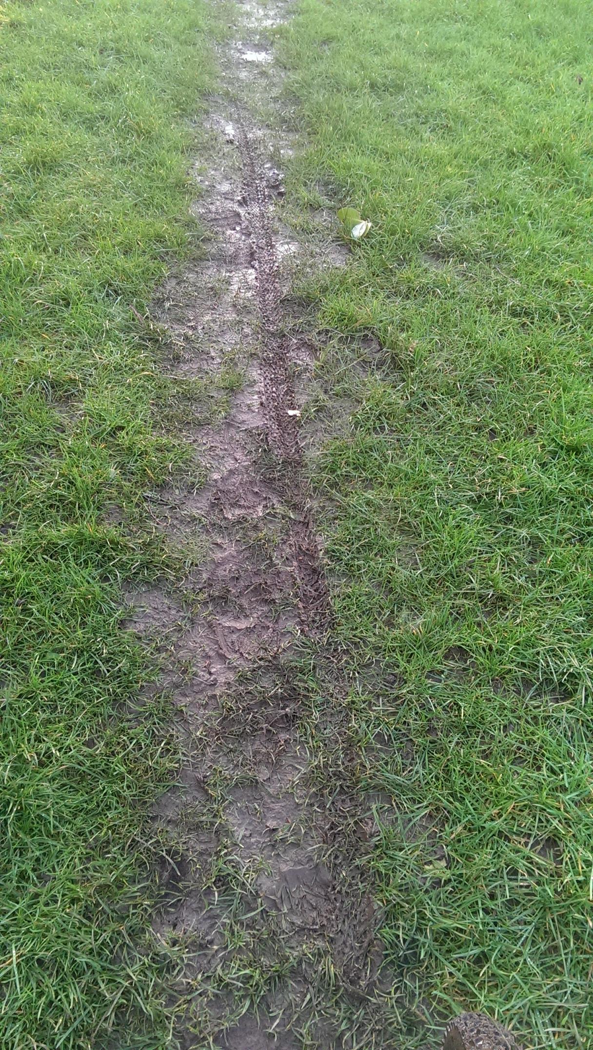 The wetter and muddier it is the wider the gap becomes between tubular and clincher