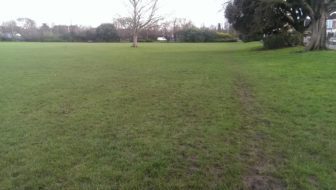 The test environment aka a park