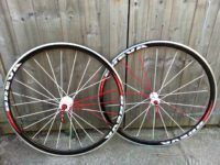 Spada Breva Forgiato Wheels
