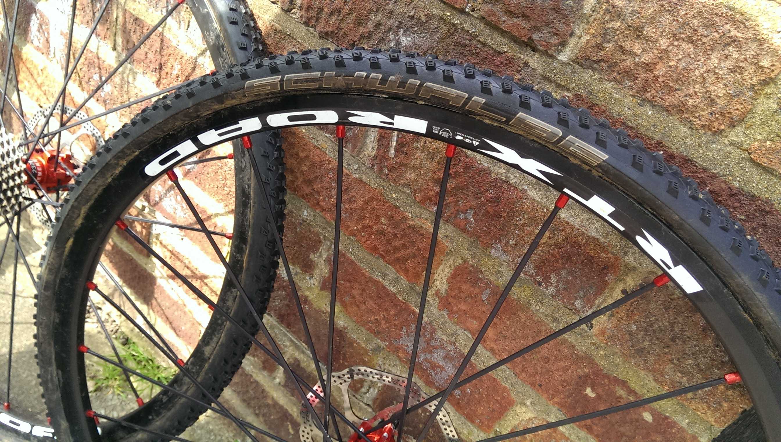 Rims are nice and wide, perfect for cyclocross tubulars