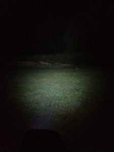 Lupine Piko TL MiniMax