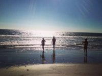 Fire Flies West 2014