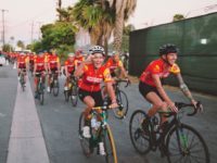 Fire Flies West 2014