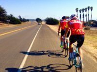 Fire Flies West 2014