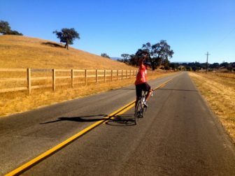 Fire Flies West 2014