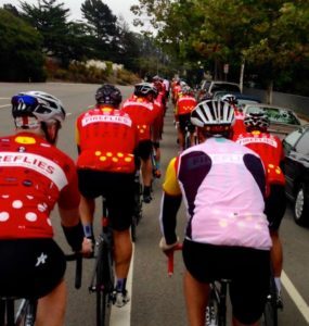 Fire Flies West 2014