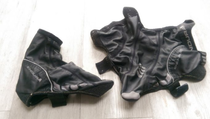 An overshoe and a dead animal...