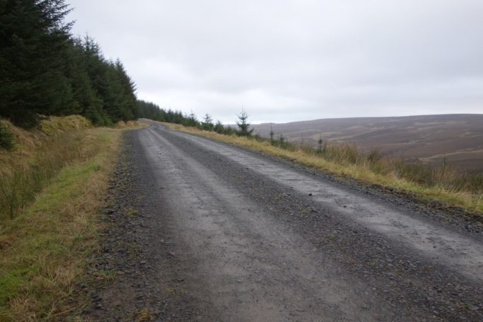 250 square miles of man-made forest and gravel roads
