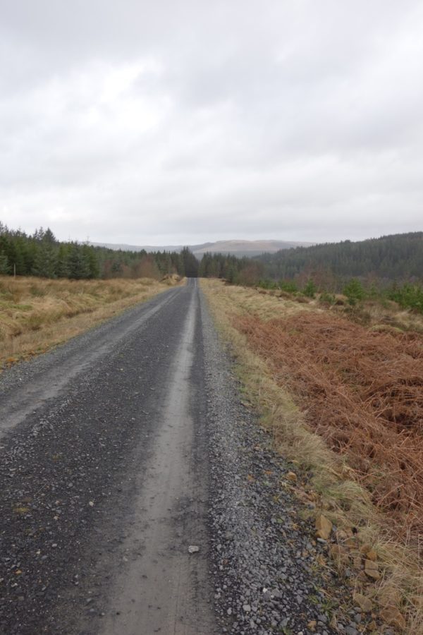 Vanishing point