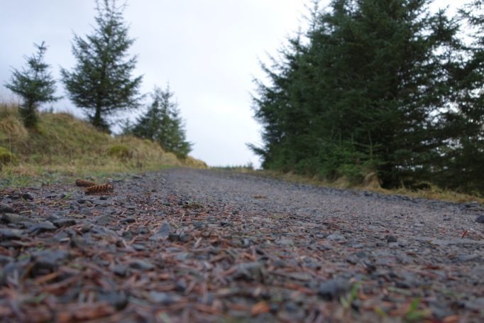 Gravel Grinding
