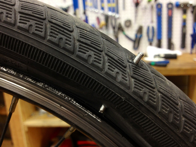 Screws on the road or thorns in the park, rubber is fairly easy to pierce. Photo courtesy of Ben Newell