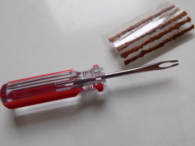 Insertion tool and worms